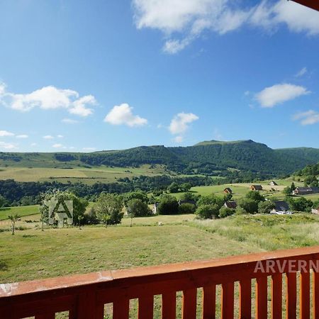 Chalet de Solene Chambon-sur-Lac Extérieur photo